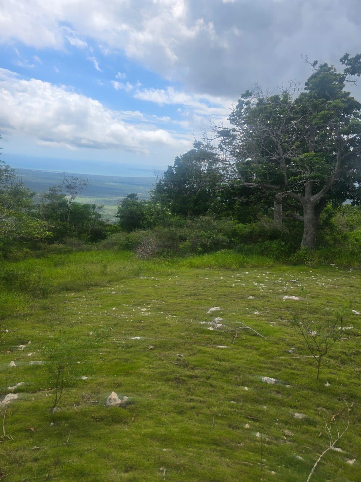 Fifth image of Elgin District in Malvern, St. Elizabeth, Jamaica - property is For Sale