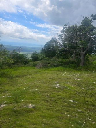 Fifth image of Elgin District in Malvern, St. Elizabeth, Jamaica - property is For Sale