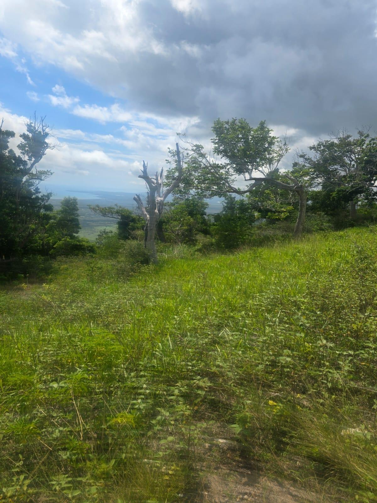 Sixth image of Elgin District in Malvern, St. Elizabeth, Jamaica - property is For Sale