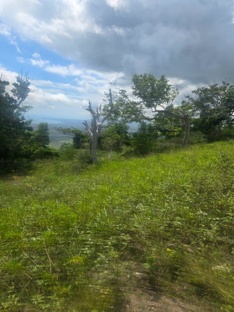 Sixth image of Elgin District in Malvern, St. Elizabeth, Jamaica - property is For Sale