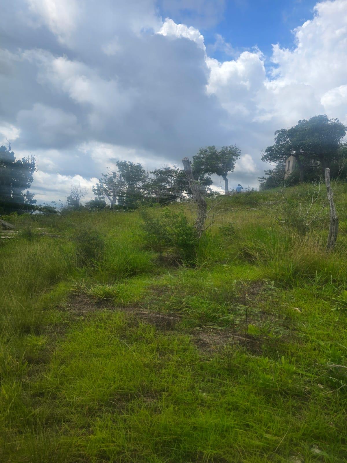 Seventh image of Elgin District in Malvern, St. Elizabeth, Jamaica - property is For Sale