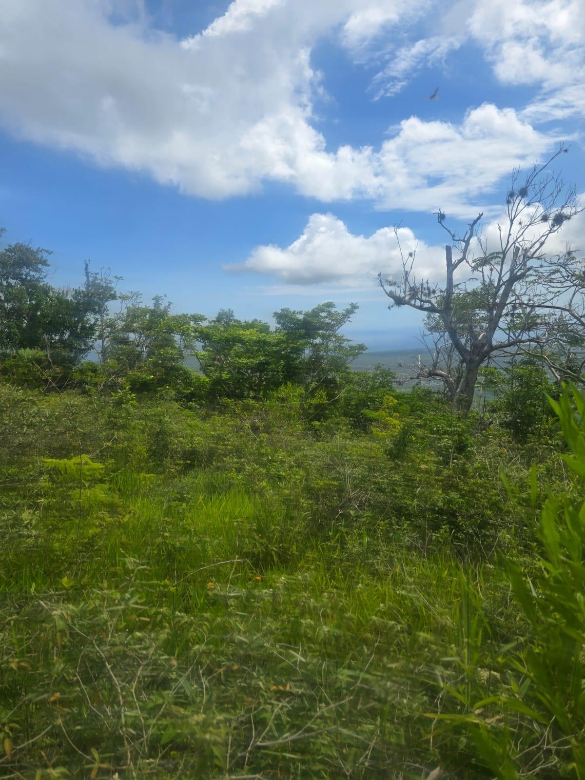 Ninth image of Elgin District in Malvern, St. Elizabeth, Jamaica - property is For Sale