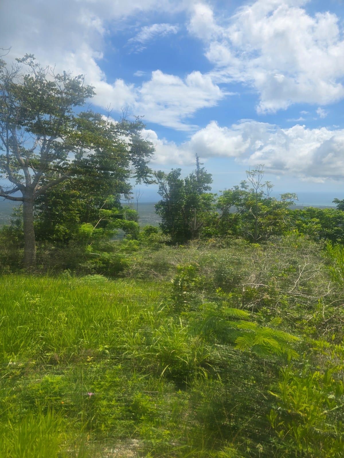Tenth image of Elgin District in Malvern, St. Elizabeth, Jamaica - property is For Sale