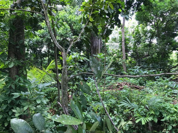 Thirteenth image of Bog Walk, St. Catherine in Bog Walk, St. Catherine, Jamaica - property is For Sale