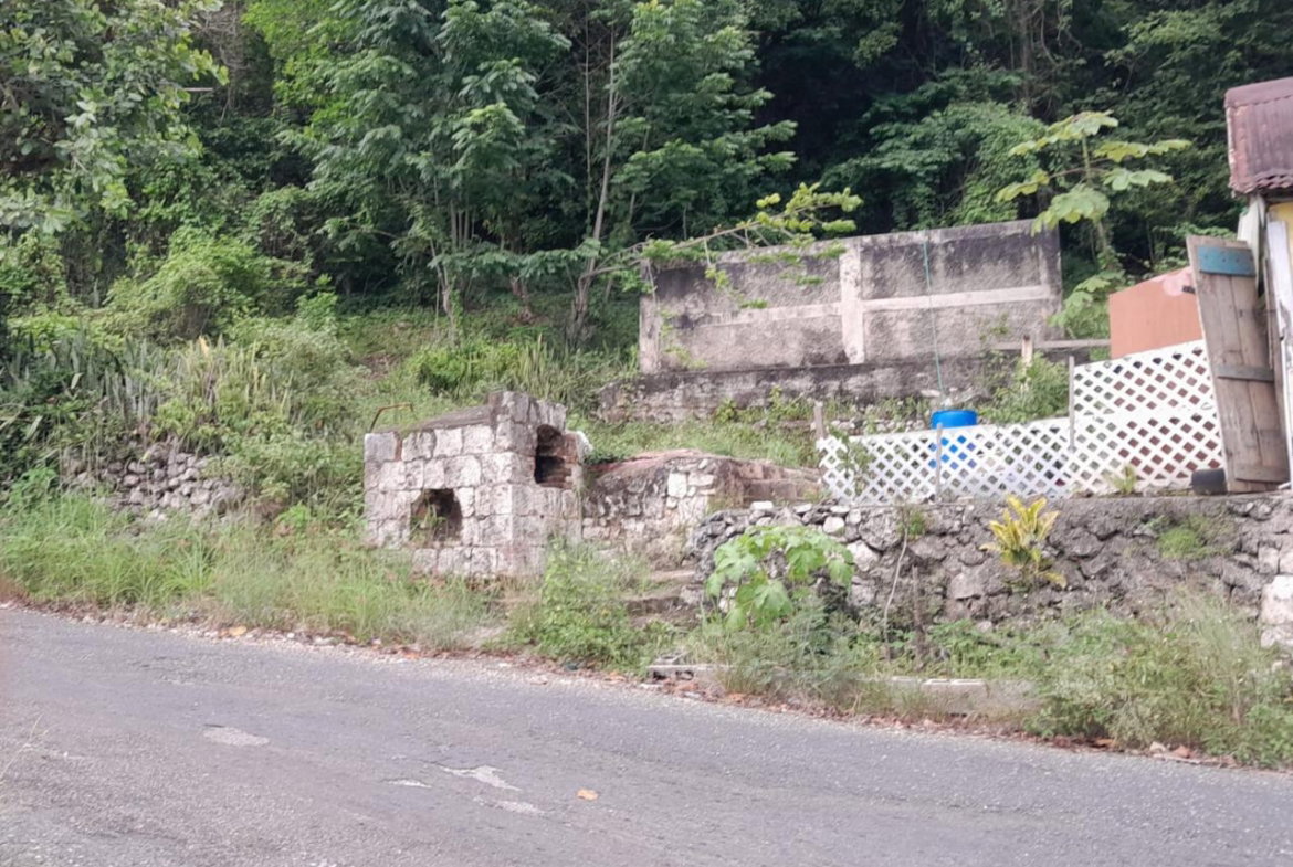 Eleventh image of Part of Inglewood in Mile Gully, Manchester, Jamaica - property is For Sale