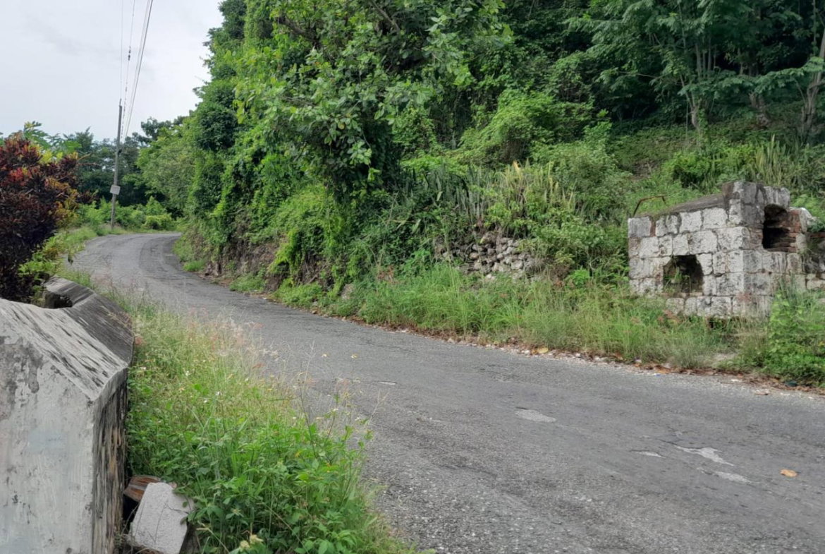 Twelfth image of Part of Inglewood in Mile Gully, Manchester, Jamaica - property is For Sale