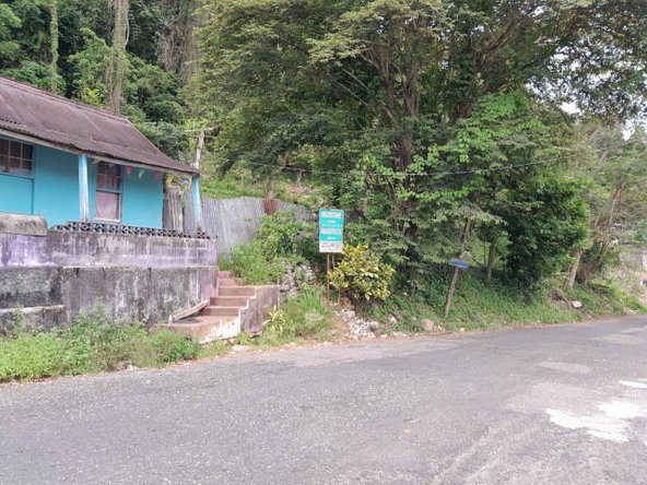 Fourth image of Part of Inglewood in Mile Gully, Manchester, Jamaica - property is For Sale
