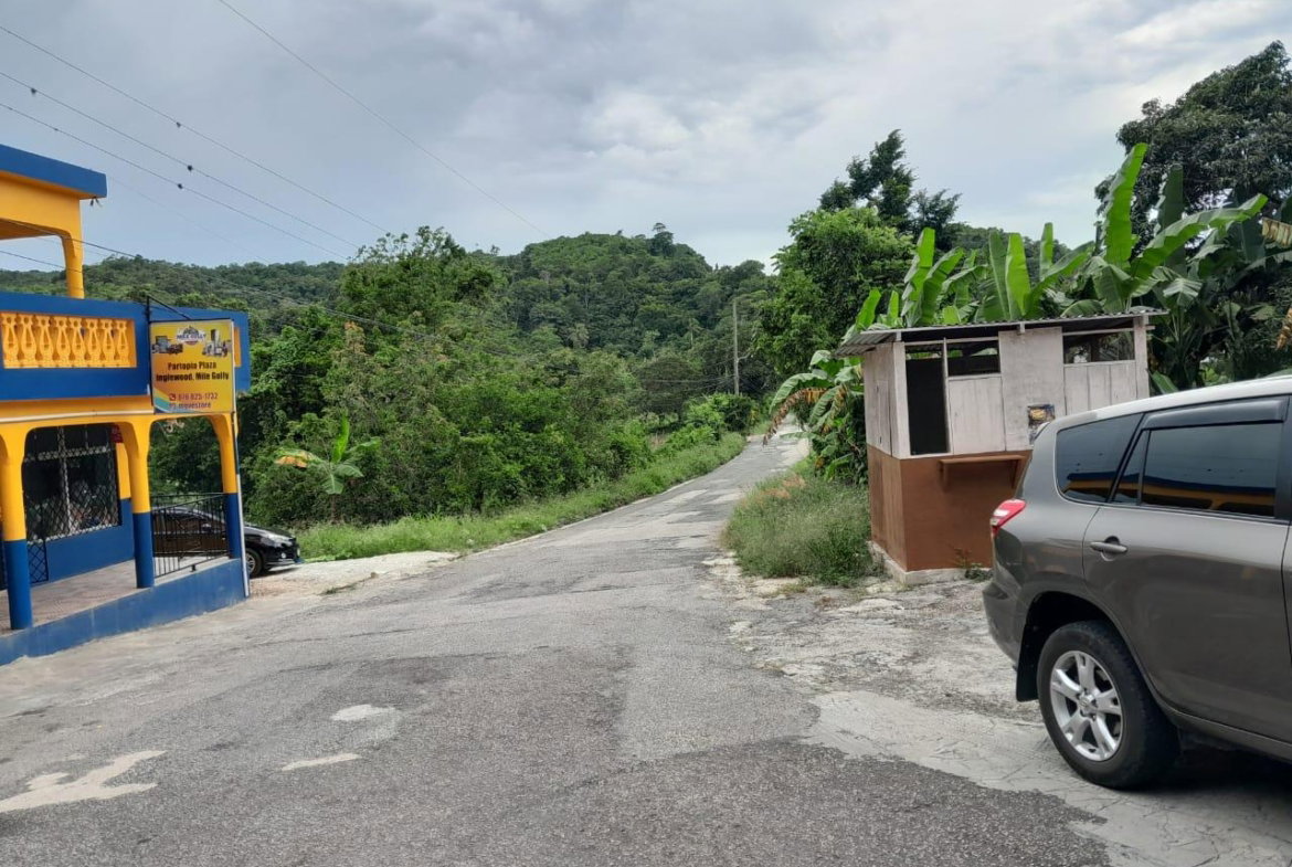 Tenth image of Part of Inglewood in Mile Gully, Manchester, Jamaica - property is For Sale
