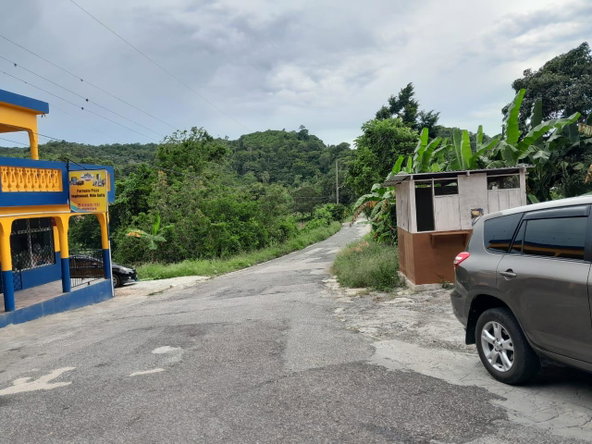 Tenth image of Part of Inglewood in Mile Gully, Manchester, Jamaica - property is For Sale
