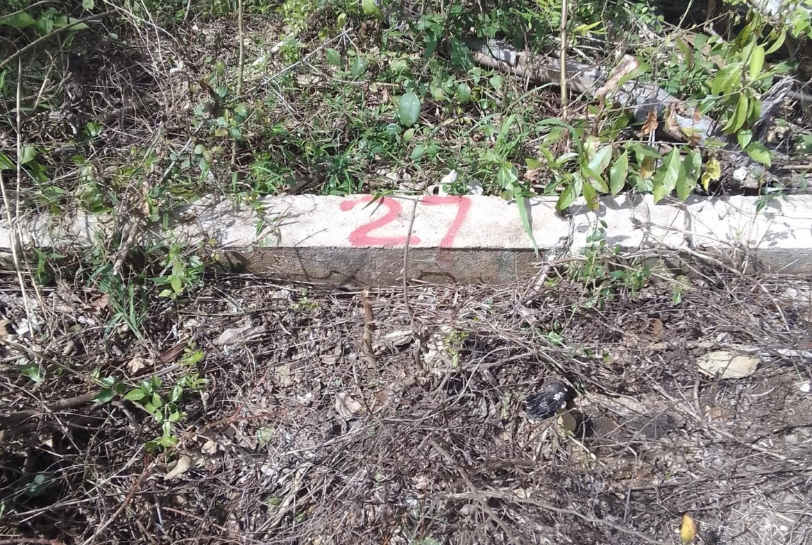 Second image of Puie Drive, Cardiff Hall in Runaway Bay, St. Ann, Jamaica - property is For Sale