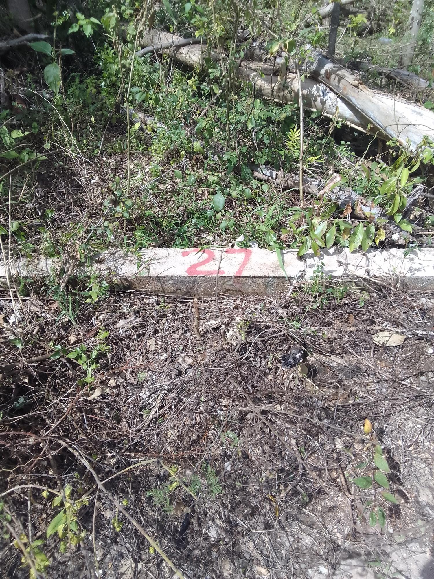 Second image of Puie Drive, Cardiff Hall in Runaway Bay, St. Ann, Jamaica - property is For Sale