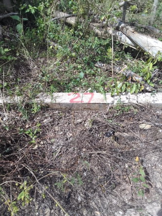 Second image of Puie Drive, Cardiff Hall in Runaway Bay, St. Ann, Jamaica - property is For Sale
