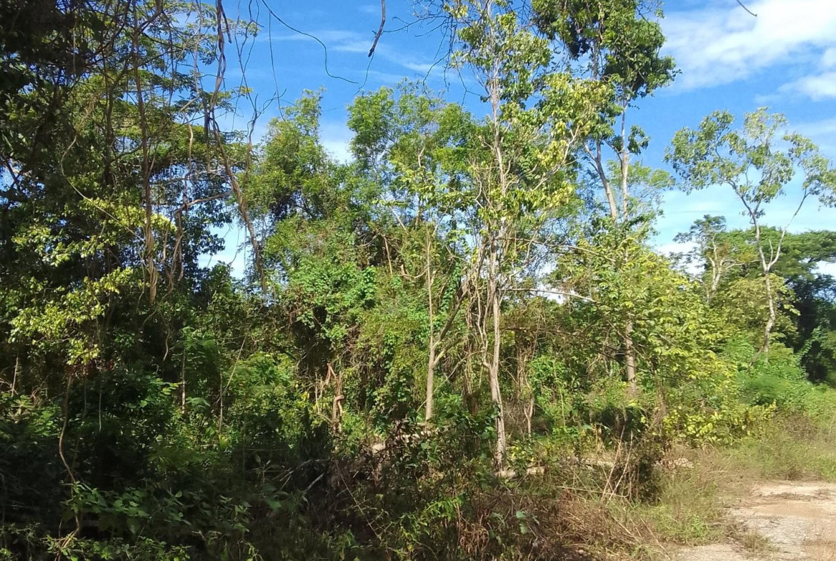 Fourth image of Puie Drive, Cardiff Hall in Runaway Bay, St. Ann, Jamaica - property is For Sale