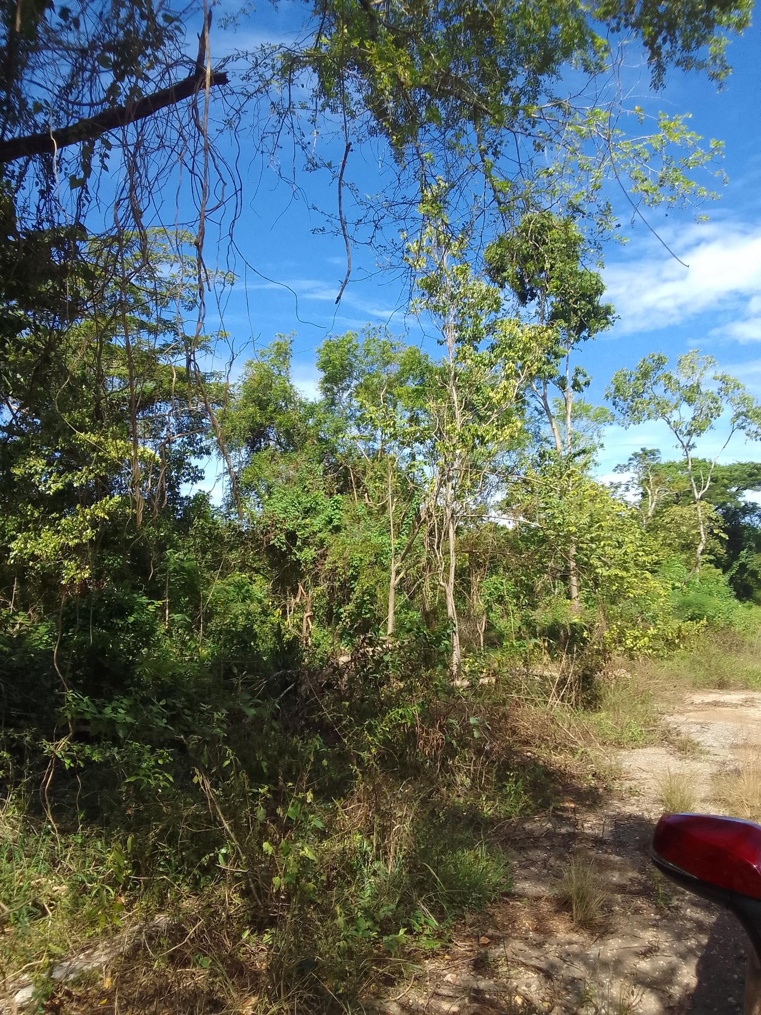 Fourth image of Puie Drive, Cardiff Hall in Runaway Bay, St. Ann, Jamaica - property is For Sale