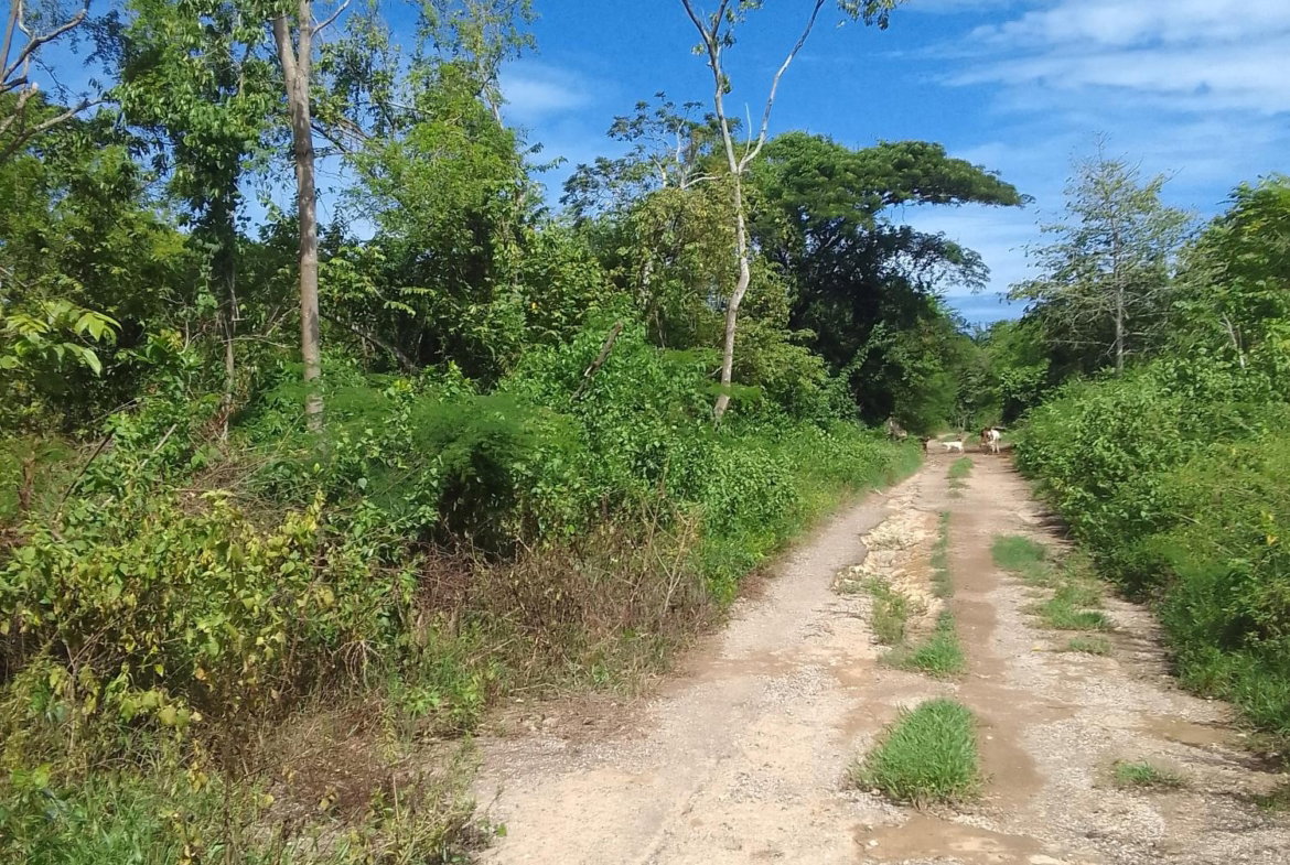 Fifth image of Puie Drive, Cardiff Hall in Runaway Bay, St. Ann, Jamaica - property is For Sale