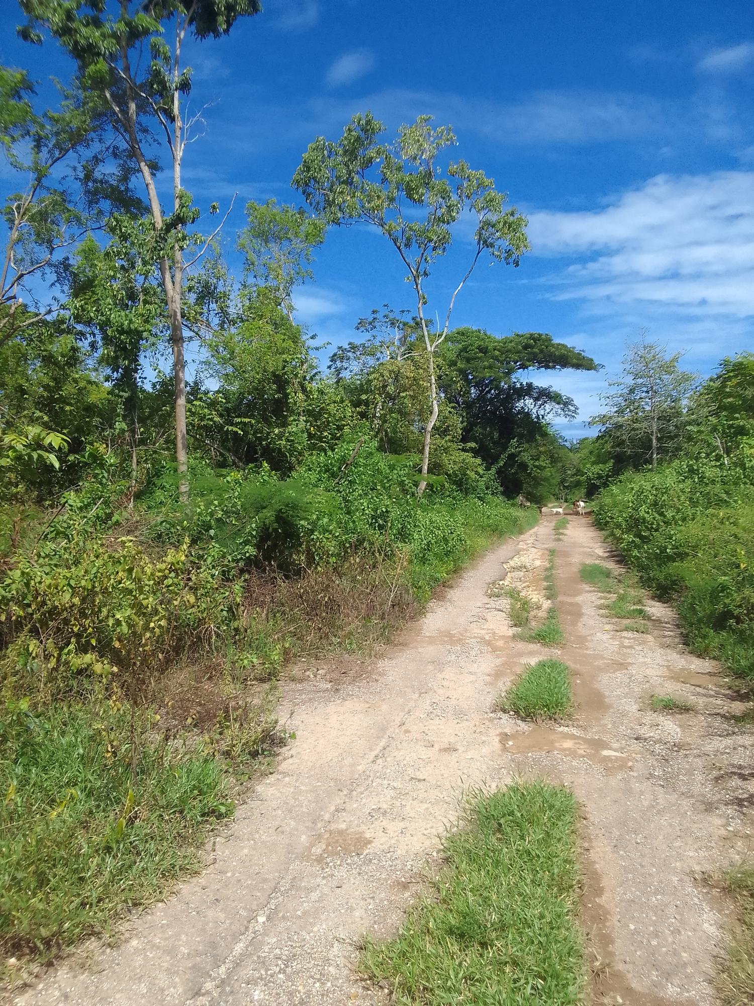 Fifth image of Puie Drive, Cardiff Hall in Runaway Bay, St. Ann, Jamaica - property is For Sale