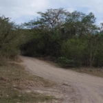 First image of Coates Pen May Pen Claren in May Pen, Clarendon, Jamaica - property is For Sale