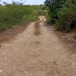 First image of Freetown, Clarendon in Freetown, Clarendon, Jamaica - property is For Sale