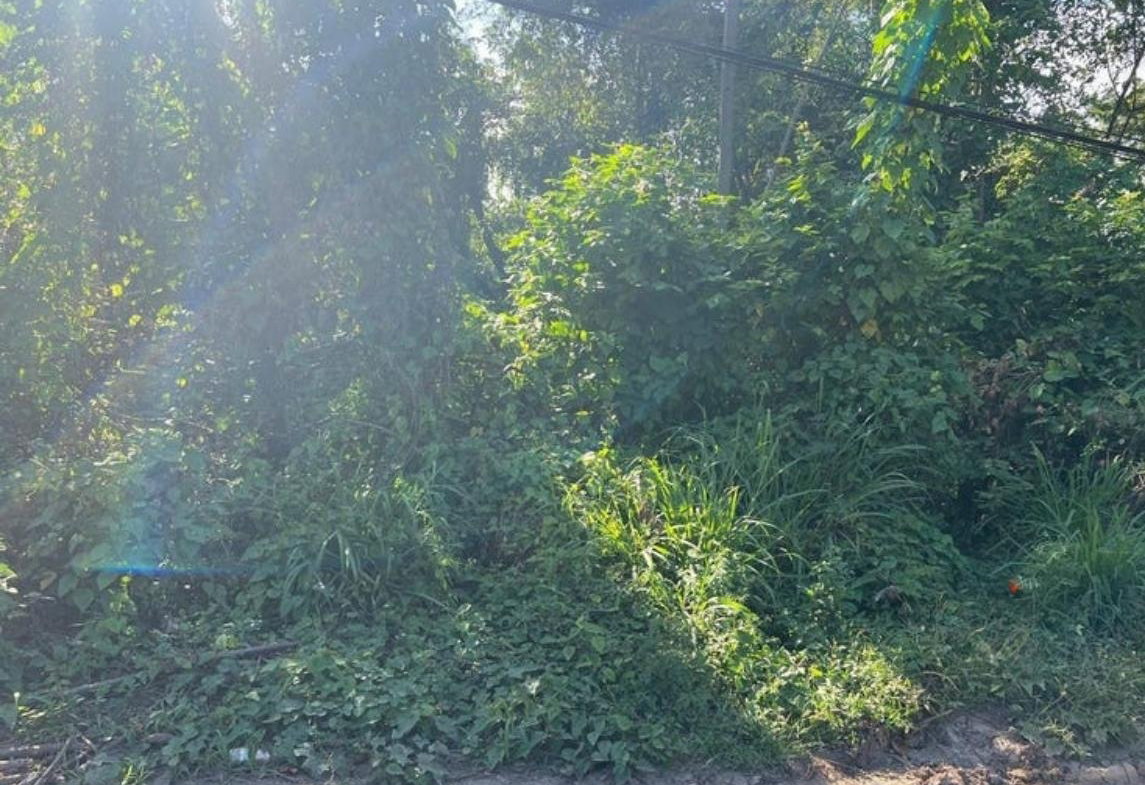 Fifth image of Freetown, Clarendon in Freetown, Clarendon, Jamaica - property is For Sale