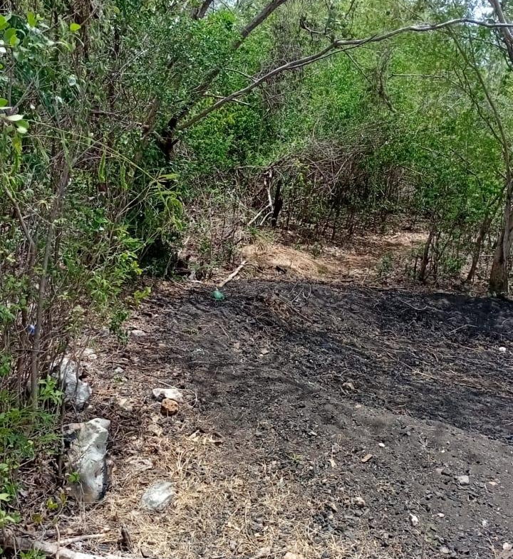 Sixth image of Freetown, Clarendon in Freetown, Clarendon, Jamaica - property is For Sale