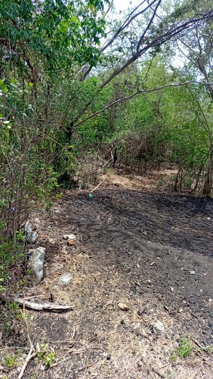 Sixth image of Freetown, Clarendon in Freetown, Clarendon, Jamaica - property is For Sale