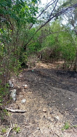 Sixth image of Freetown, Clarendon in Freetown, Clarendon, Jamaica - property is For Sale