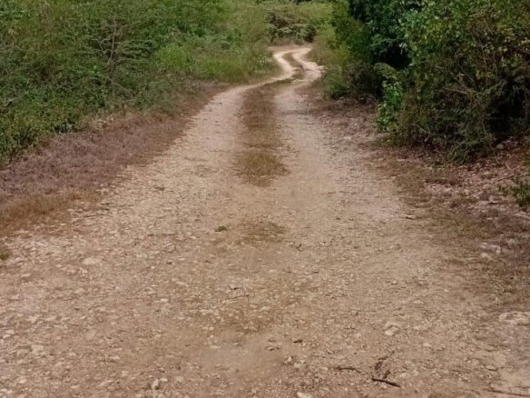 First image of Freetown, Clarendon in Freetown, Clarendon, Jamaica - property is For Sale