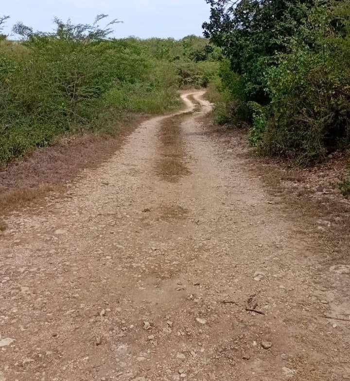 First image of Freetown, Clarendon in Freetown, Clarendon, Jamaica - property is For Sale
