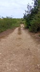 First image of Freetown, Clarendon in Freetown, Clarendon, Jamaica - property is For Sale