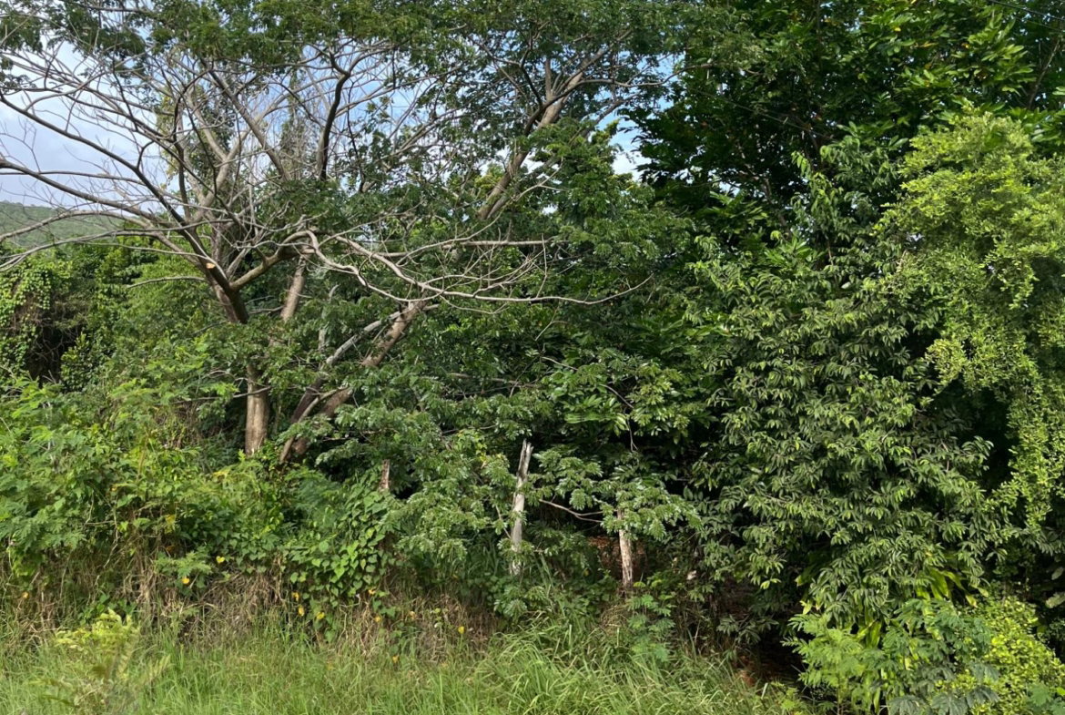 Second image of Montpelier Avenue Manc in Spur Tree, Manchester, Jamaica - property is For Sale