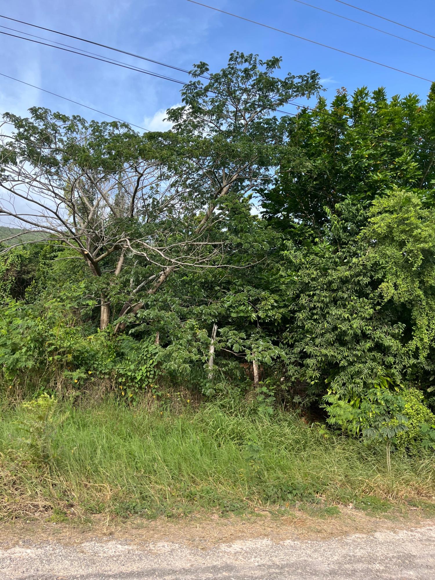 14-Acre-Residential-Lot-for-Sale-in-Montpelier-Avenue-Manchester-Jamaica Second image of Montpelier Avenue Manc in Spur Tree, Manchester, Jamaica - property is For Sale