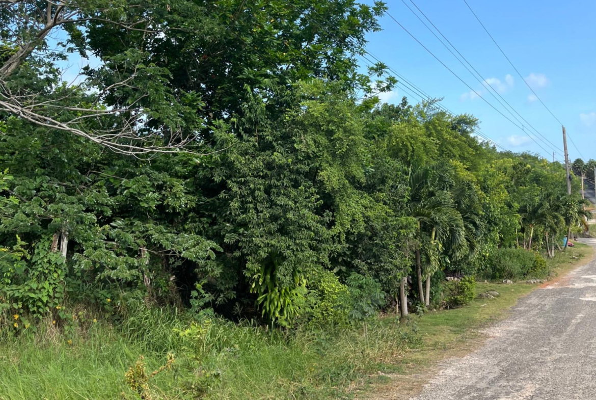 Third image of Montpelier Avenue Manc in Spur Tree, Manchester, Jamaica - property is For Sale