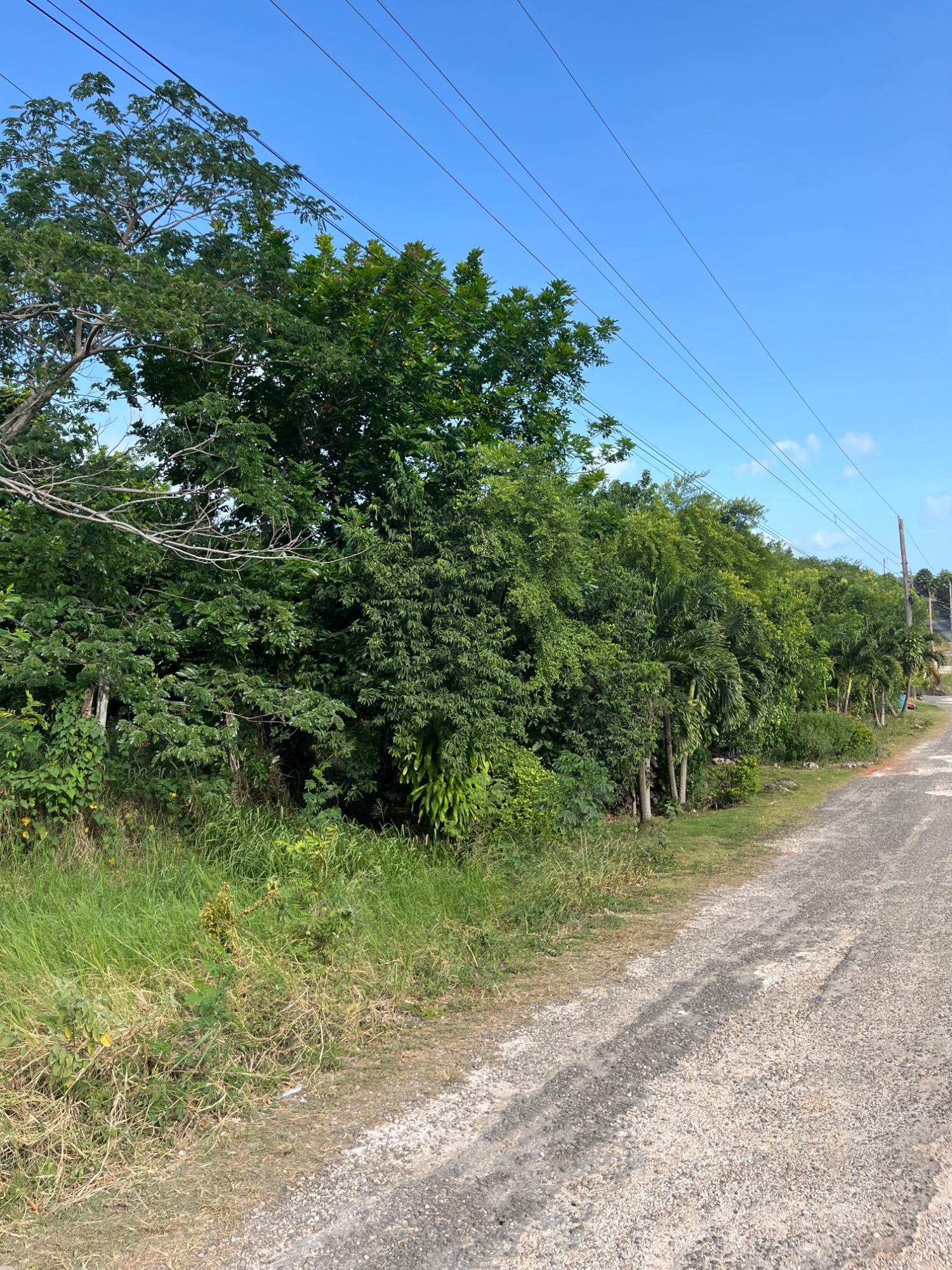 14-Acre-Residential-Lot-for-Sale-in-Montpelier-Avenue-Manchester-Jamaica Third image of Montpelier Avenue Manc in Spur Tree, Manchester, Jamaica - property is For Sale