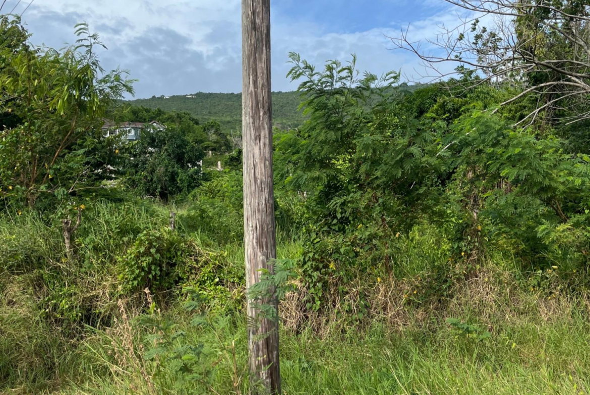 Fourth image of Montpelier Avenue Manc in Spur Tree, Manchester, Jamaica - property is For Sale