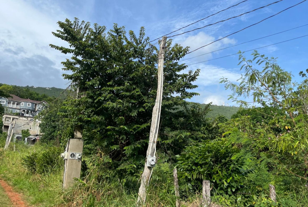 Fifth image of Montpelier Avenue Manc in Spur Tree, Manchester, Jamaica - property is For Sale