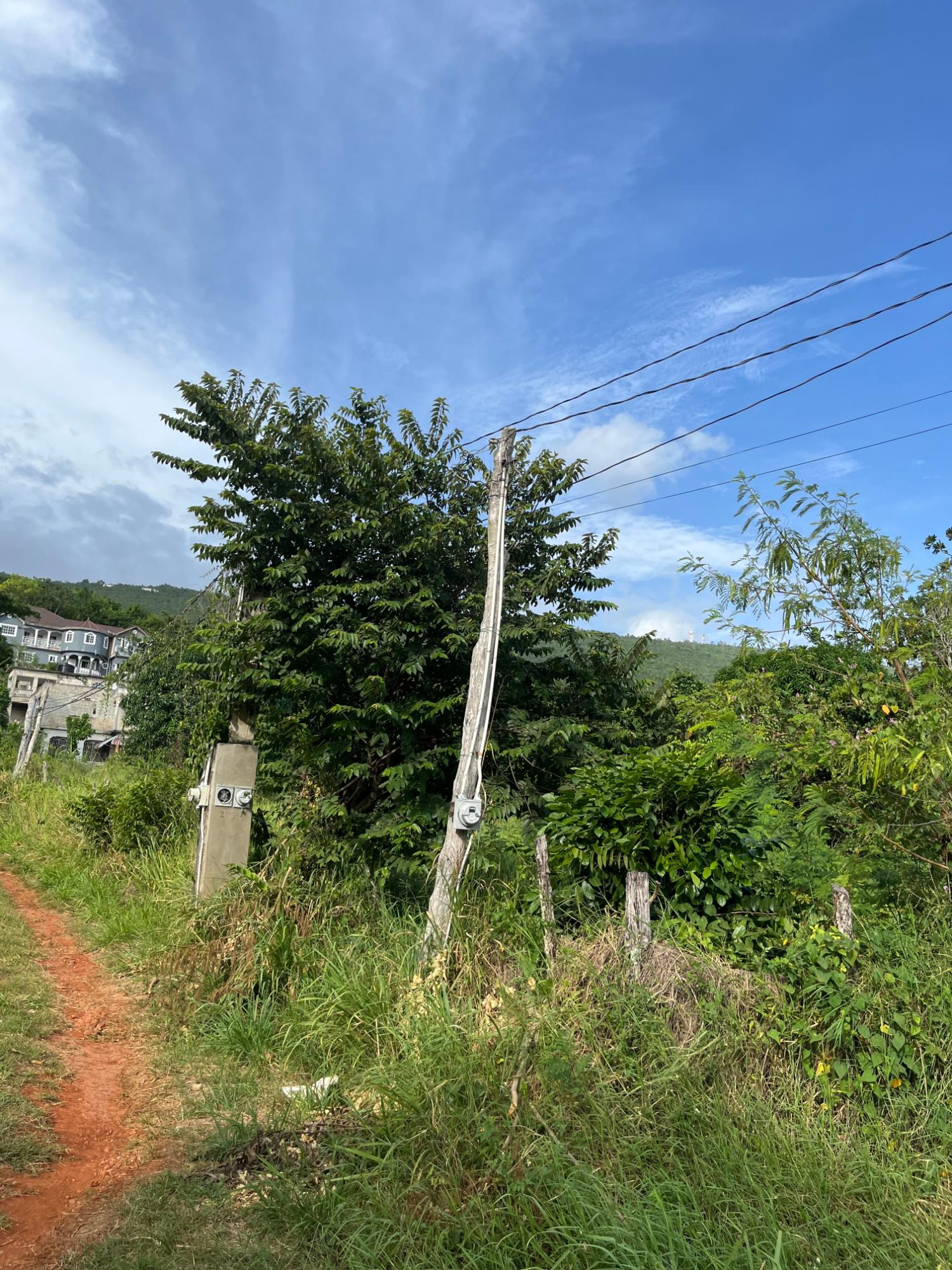 14-Acre-Residential-Lot-for-Sale-in-Montpelier-Avenue-Manchester-Jamaica Fifth image of Montpelier Avenue Manc in Spur Tree, Manchester, Jamaica - property is For Sale