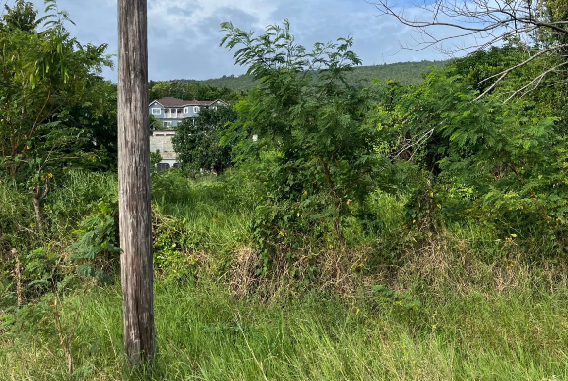 Sixth image of Montpelier Avenue Manc in Spur Tree, Manchester, Jamaica - property is For Sale