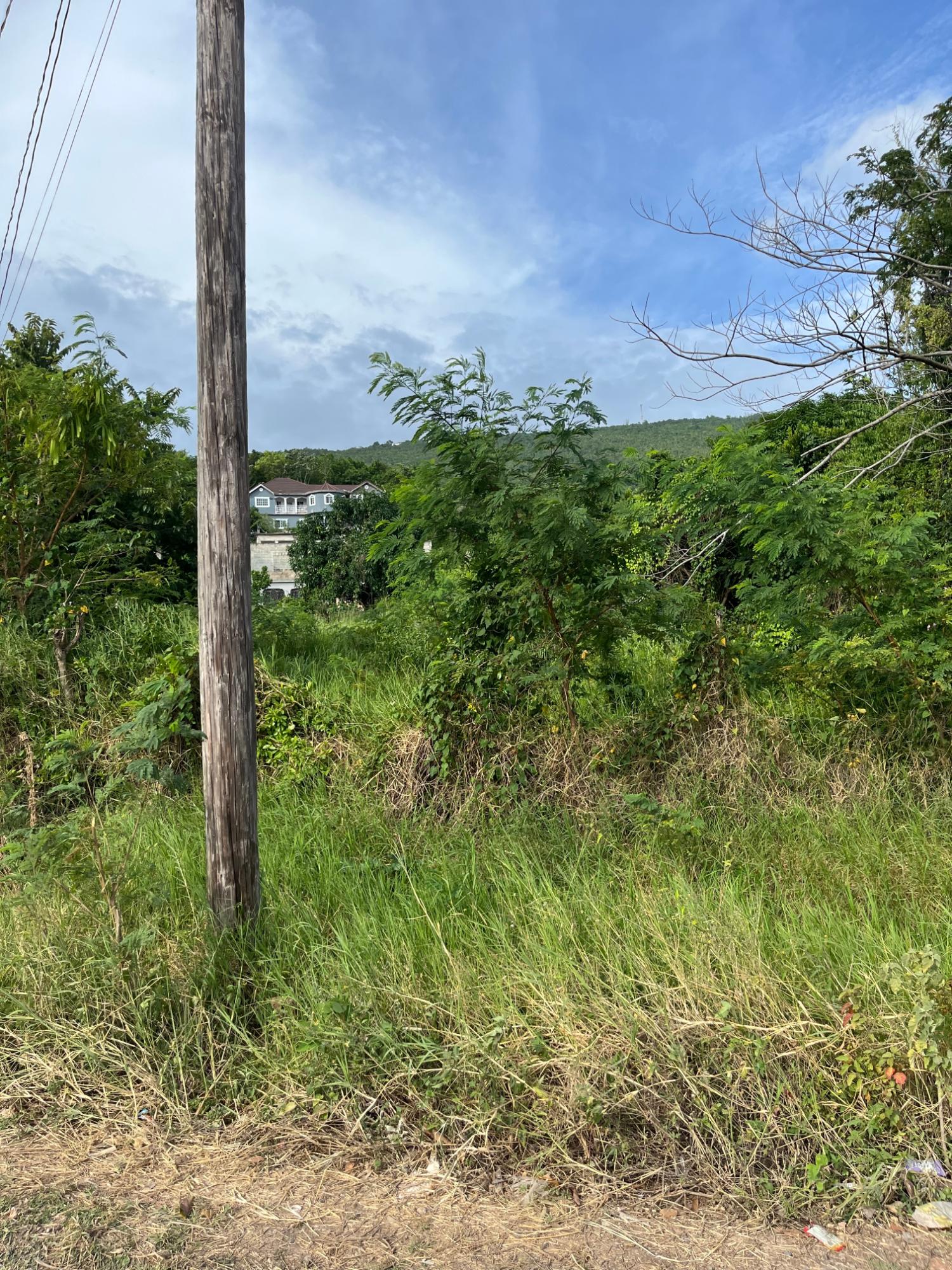 14-Acre-Residential-Lot-for-Sale-in-Montpelier-Avenue-Manchester-Jamaica Sixth image of Montpelier Avenue Manc in Spur Tree, Manchester, Jamaica - property is For Sale