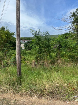 Sixth image of Montpelier Avenue Manc in Spur Tree, Manchester, Jamaica - property is For Sale