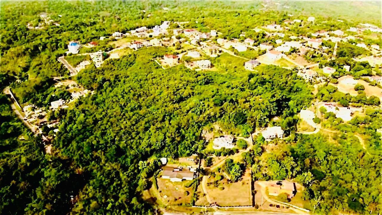 14.5-Acres-Development-Land-for-Sale-in-Discovery-Bay-St.-Ann-Jamaica Eleventh image of Discovery Bay Rose Hall in Discovery Bay, St. Ann, Jamaica - property is For Sale