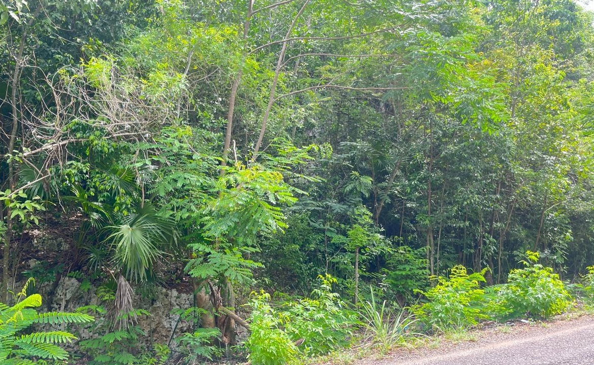 Second image of Lot 8 Woodside in Woodside, Clarendon, Jamaica - property is For Sale