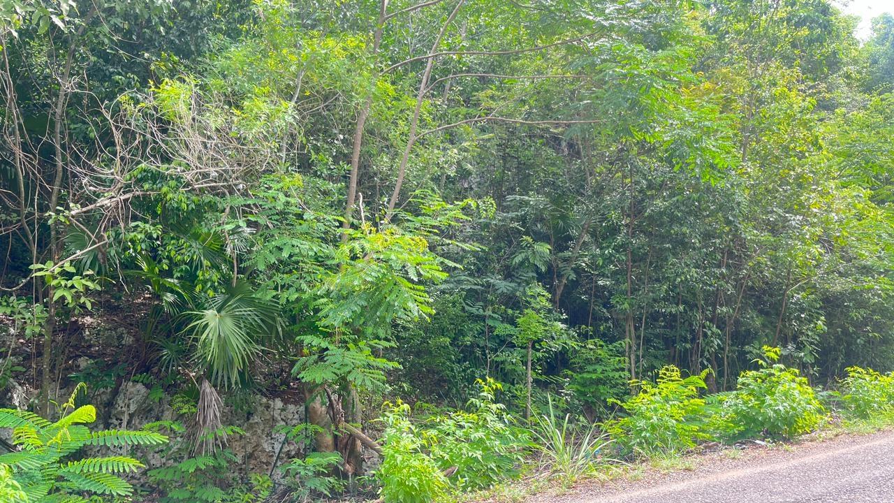 Second image of Lot 8 Woodside in Woodside, Clarendon, Jamaica - property is For Sale