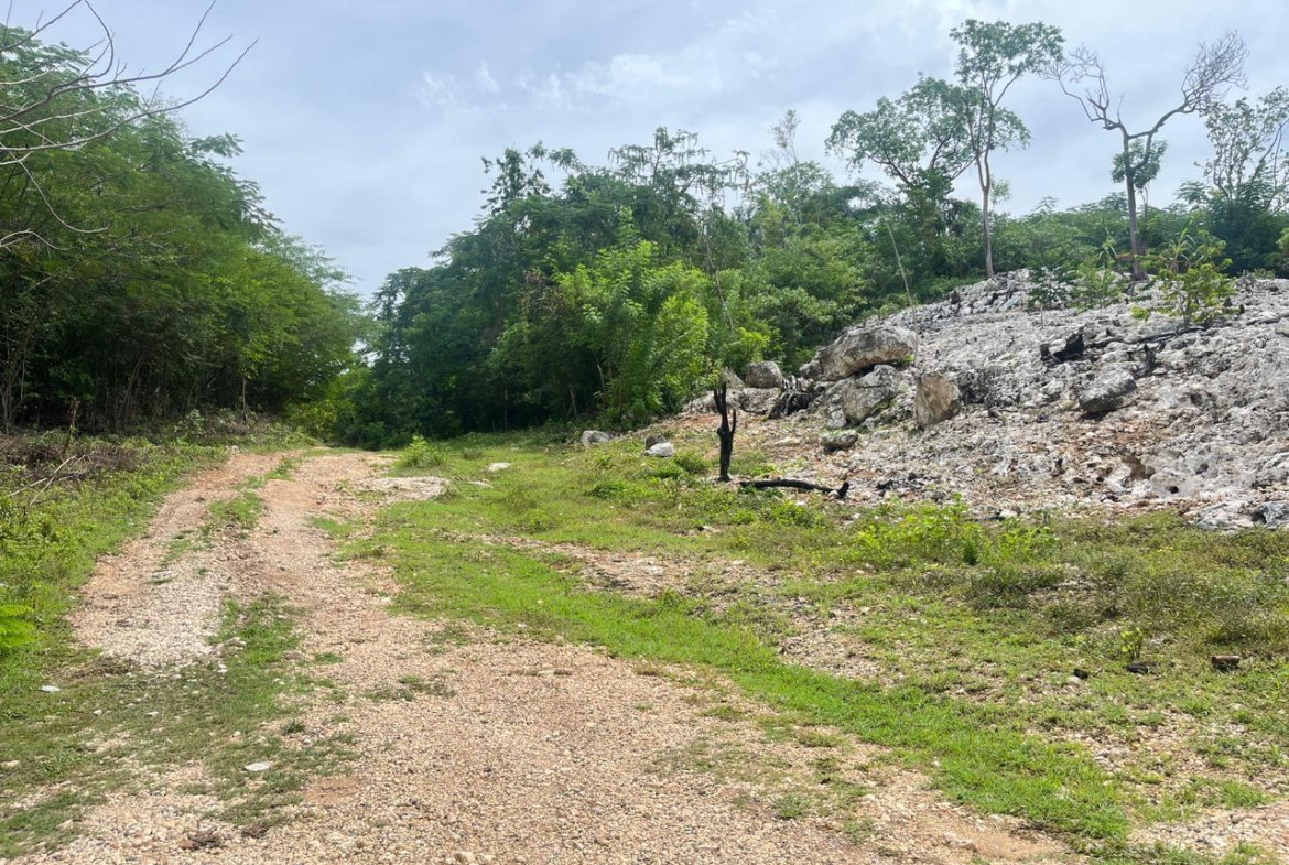 First image of Lot 8 Woodside in Woodside, Clarendon, Jamaica - property is For Sale