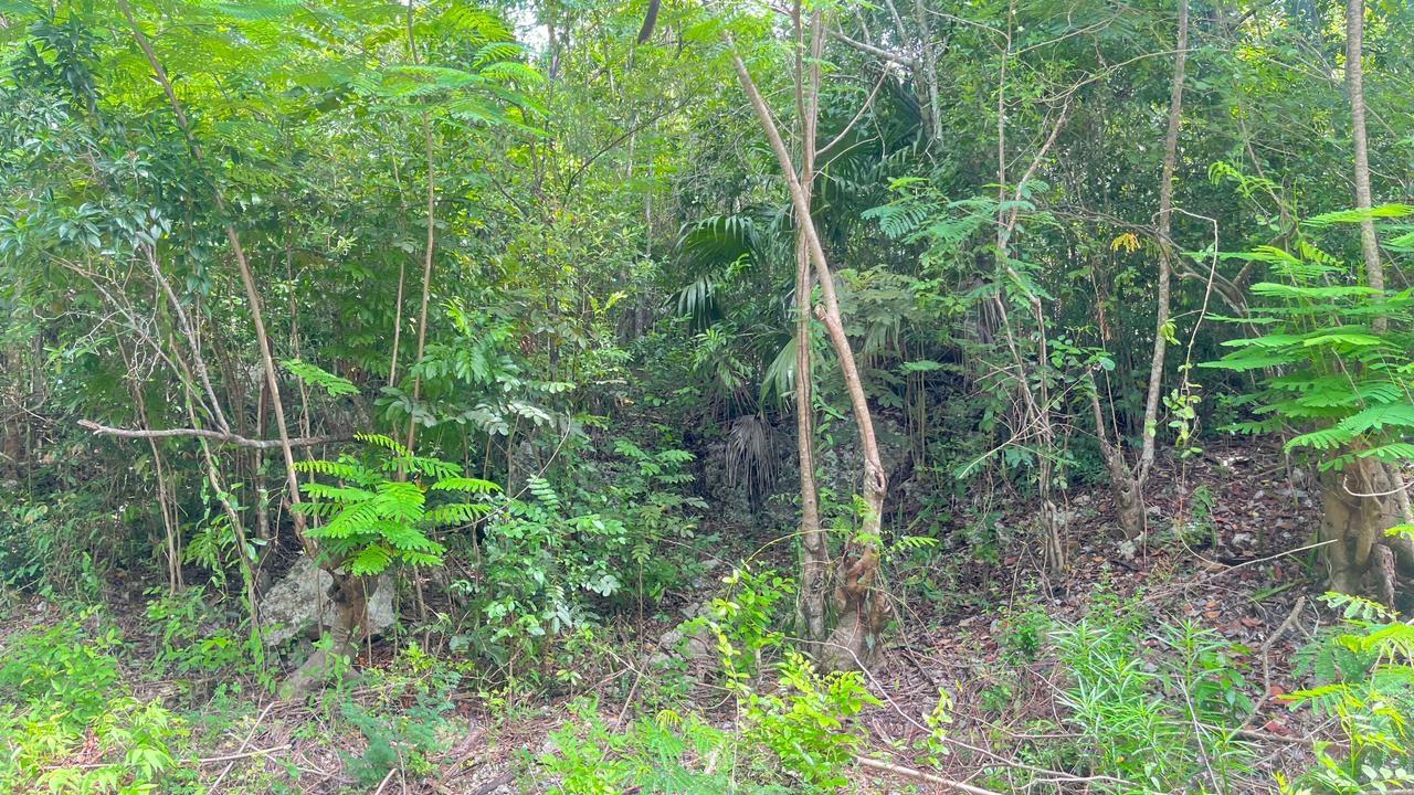Third image of Lot 8 Woodside in Woodside, Clarendon, Jamaica - property is For Sale