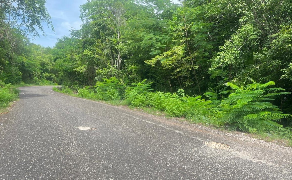Fourth image of Lot 8 Woodside in Woodside, Clarendon, Jamaica - property is For Sale