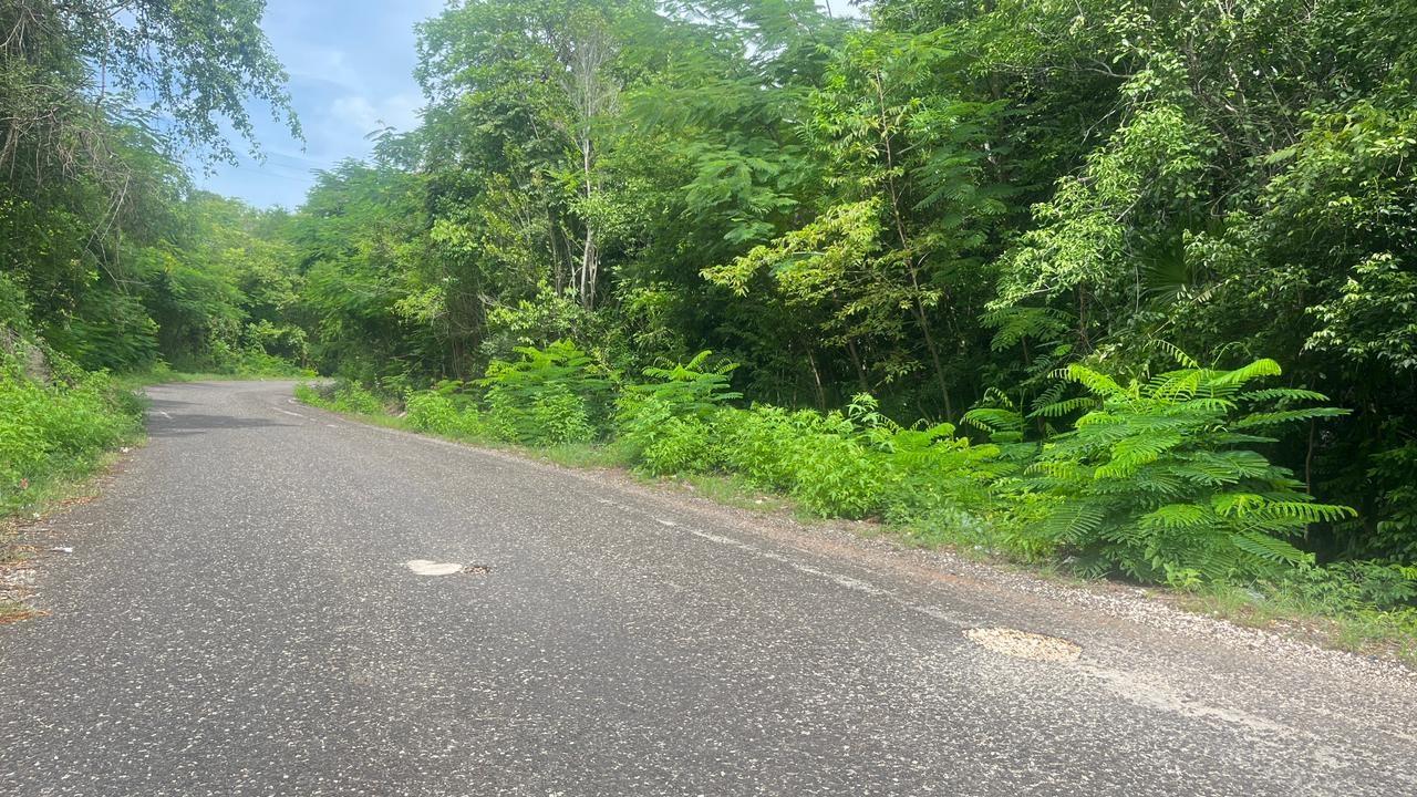 Fourth image of Lot 8 Woodside in Woodside, Clarendon, Jamaica - property is For Sale