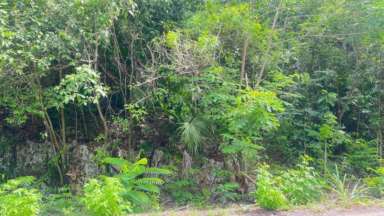 Sixth image of Lot 8 Woodside in Woodside, Clarendon, Jamaica - property is For Sale