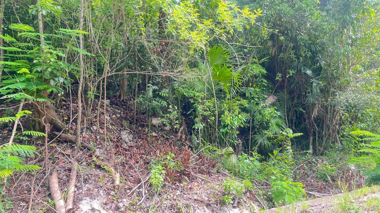 Seventh image of Lot 8 Woodside in Woodside, Clarendon, Jamaica - property is For Sale