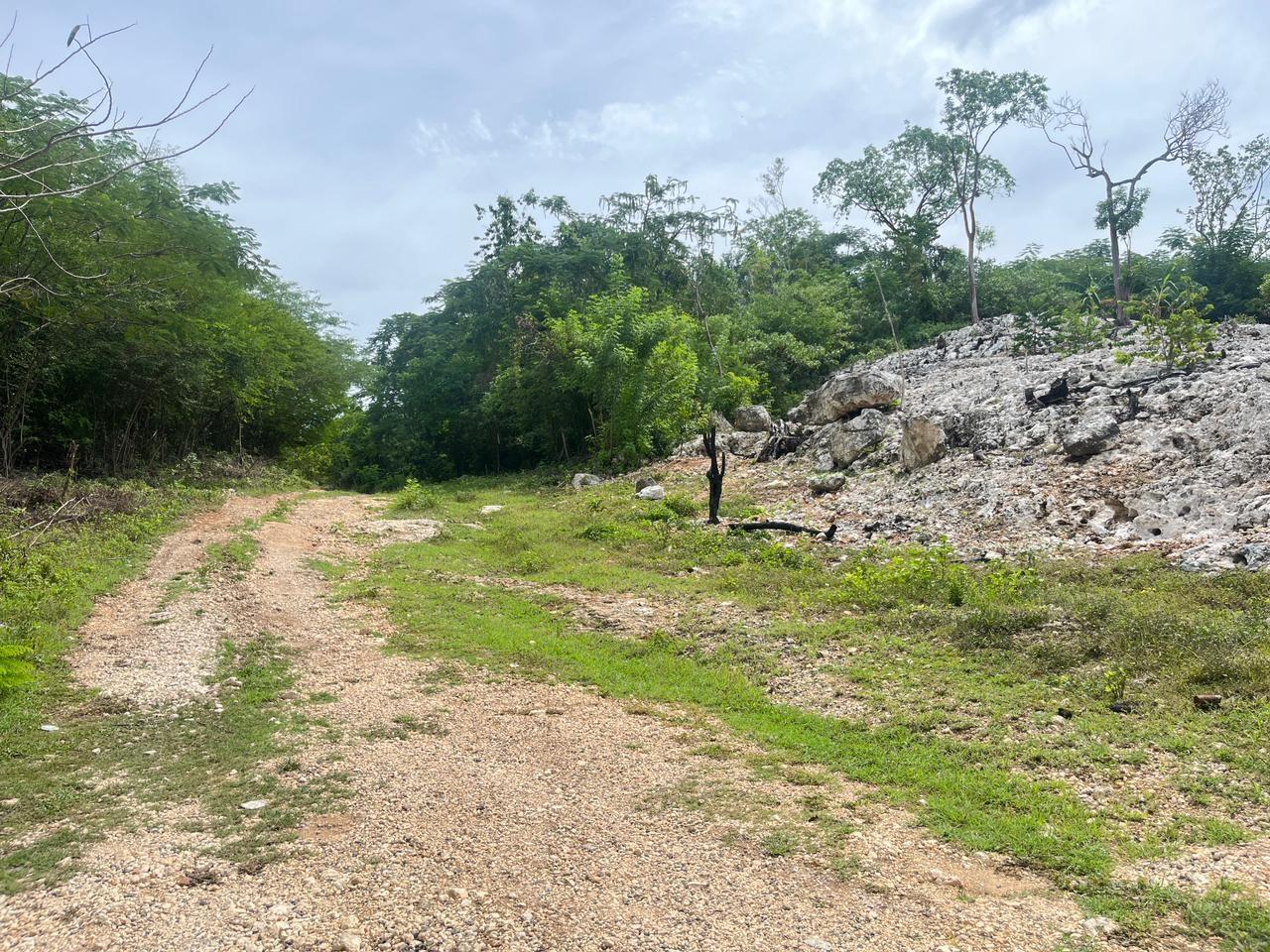 First image of Lot 8 Woodside in Woodside, Clarendon, Jamaica - property is For Sale