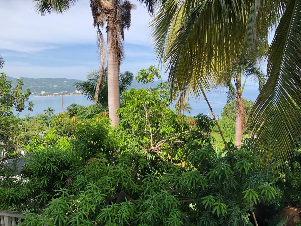 Seventh image of 6-14 Queens Drive, Mira Bay, m in Montego Bay, St. James, Jamaica - property is For Rent
